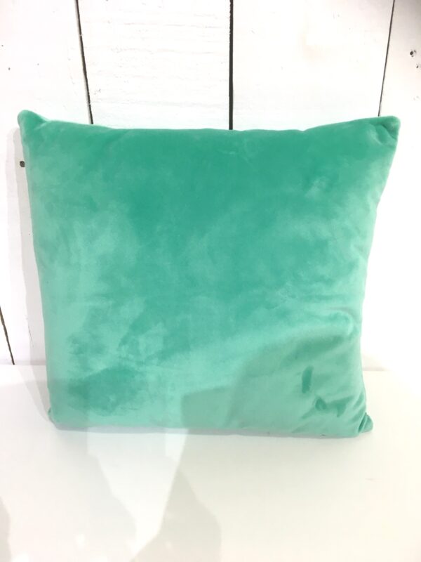Coussin smooth mint