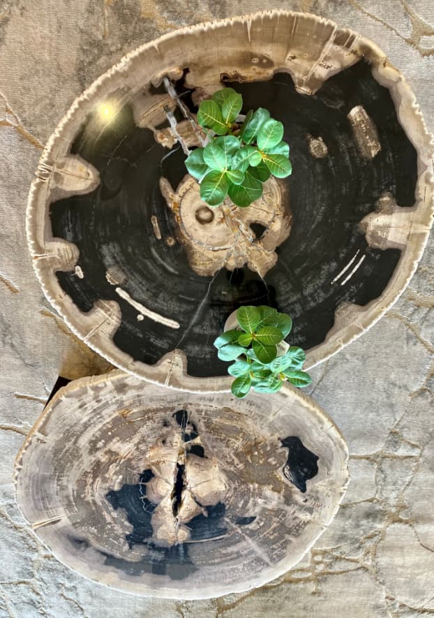 Meubles Finel - nos services - accessoires déco salon